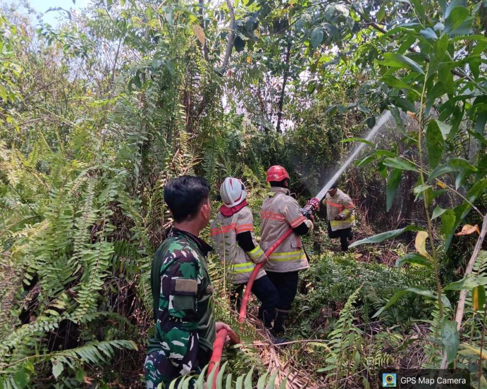 Gerak Cepat Babinsa Koramil 0908-01/Loktuan Bersama Damkar Padamkan Karhutla Di Kelurahan Bontang Lestari Gerak Cepat Babinsa Koramil 0908-01/Loktuan Bersama Damkar Padamkan Karhutla Di Kelurahan Bontang Lestari