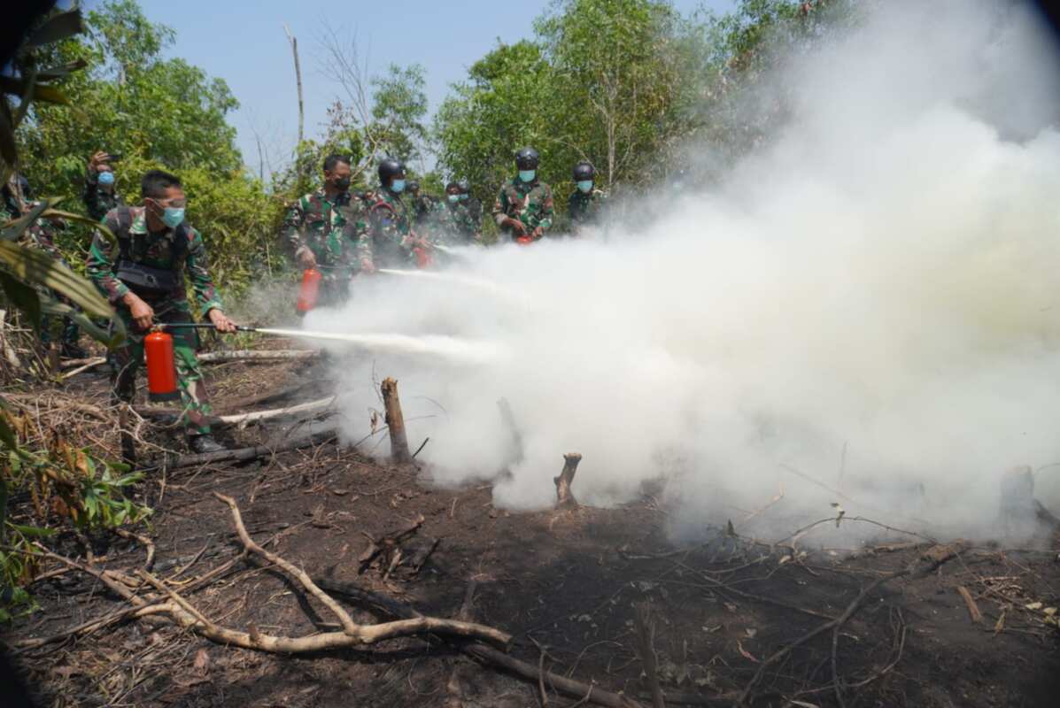 TNI Percepat Penanganan Karhutla Way Kambas, Tim Alfa Diterjunkan dari Udara TNI Percepat Penanganan Karhutla Way Kambas, Tim Alfa Diterjunkan dari Udara