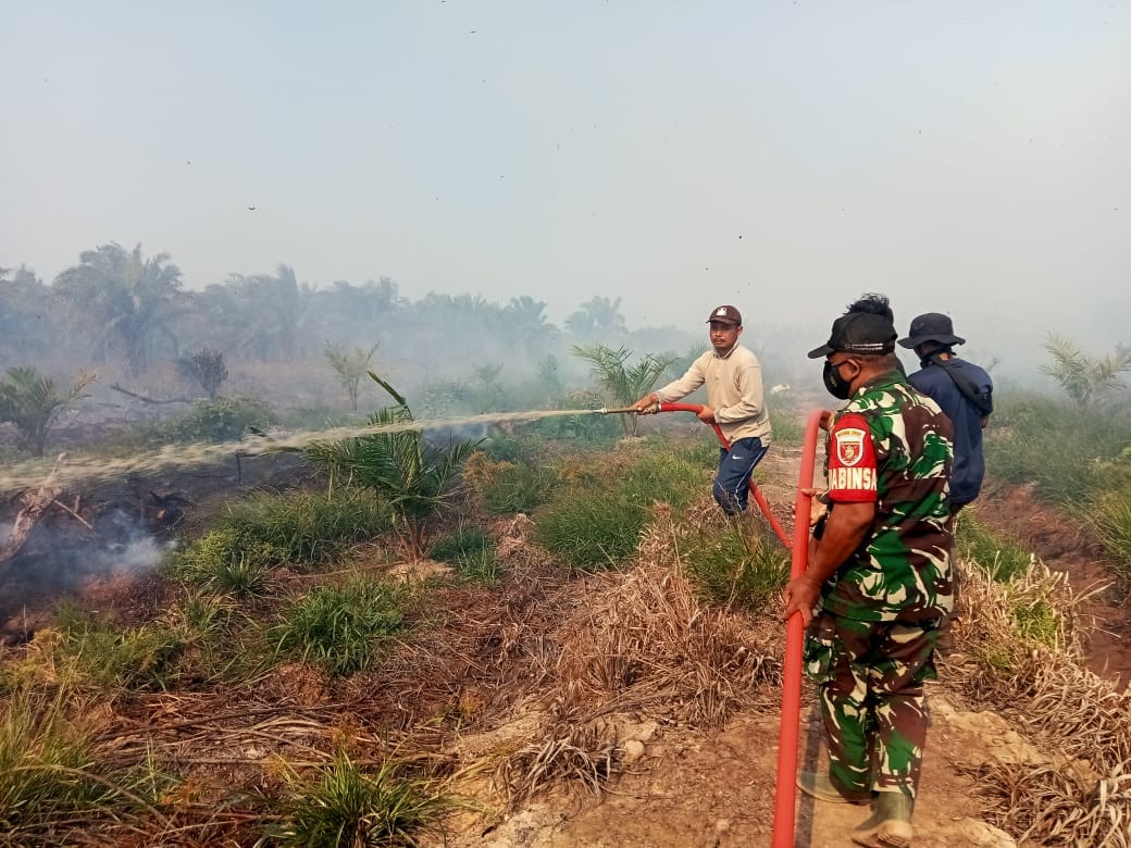 Babinsa Koramil 0908-04/Marangkayu Bersama Tim Gabungan Bergerak Cepat Padamkan Karhutla di Lahan Sawit