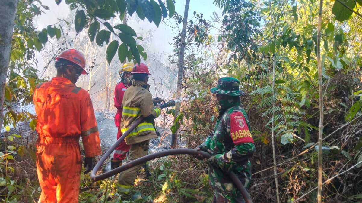 Babinsa Koramil 0909-04/Marangkayu Bersama Tim Gabungan Tanggap Padamkan Karhutla