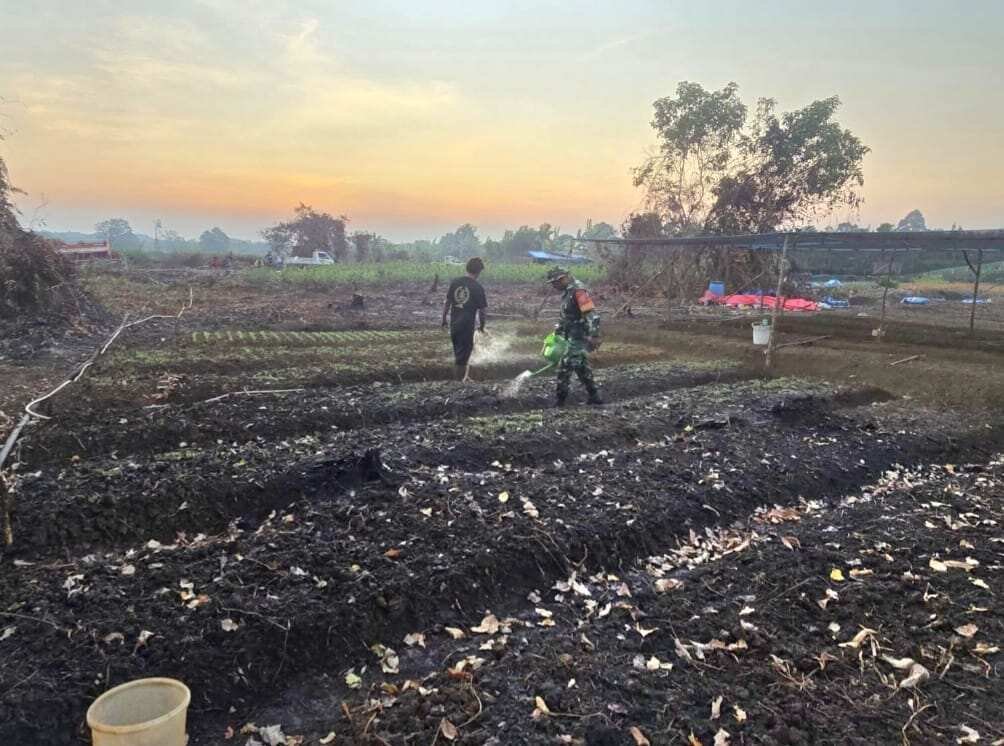 Wujudkan Ketahanan Pangan, Babinsa Desa Sidomulyo Bantu Warga Rawat Tanaman Kangkung Wujudkan Ketahanan Pangan, Babinsa Desa Sidomulyo Bantu Warga Rawat Tanaman Kangkung
