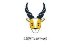 Prospek Karier Capricorn pada 29 Agustus 2026