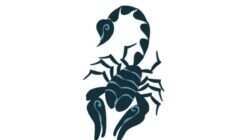 Ramalan Zodiak Scorpio Akhir Agustus 2026 Ramalan Zodiak Scorpio Akhir Agustus 2026
