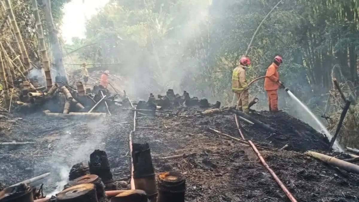 Peningkatan Jumlah Tersangka Kasus Karhutla