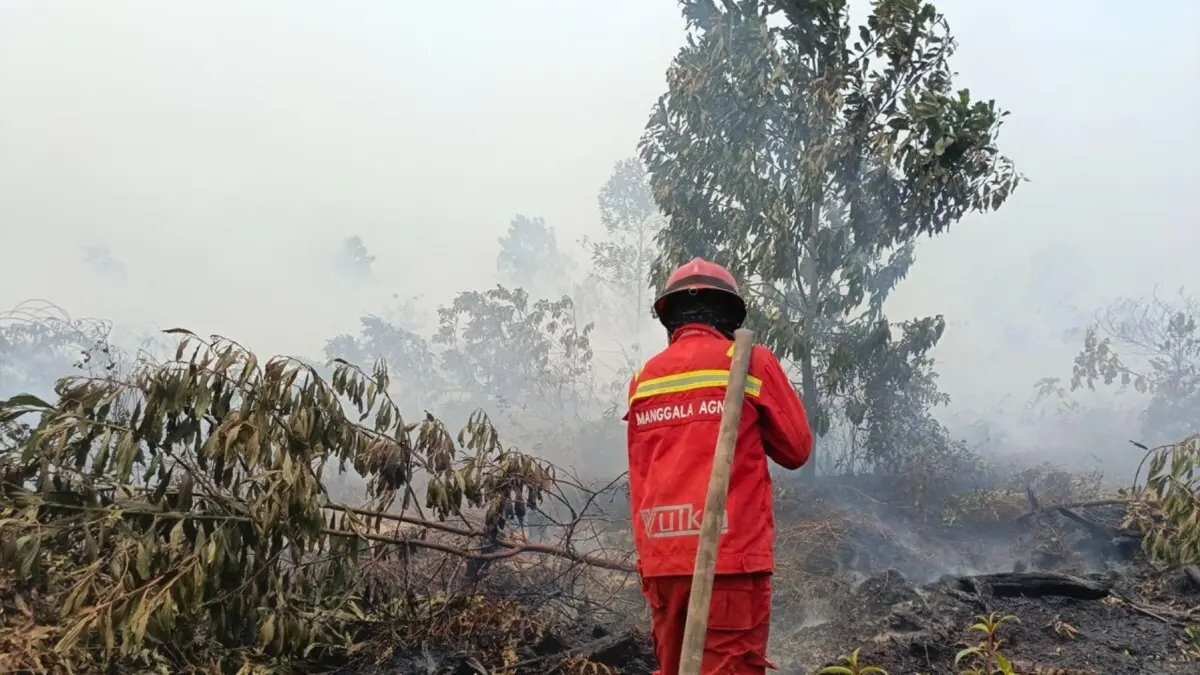 Kondisi Kebakaran Hutan dan Lahan di Kalbar dan Kalteng
