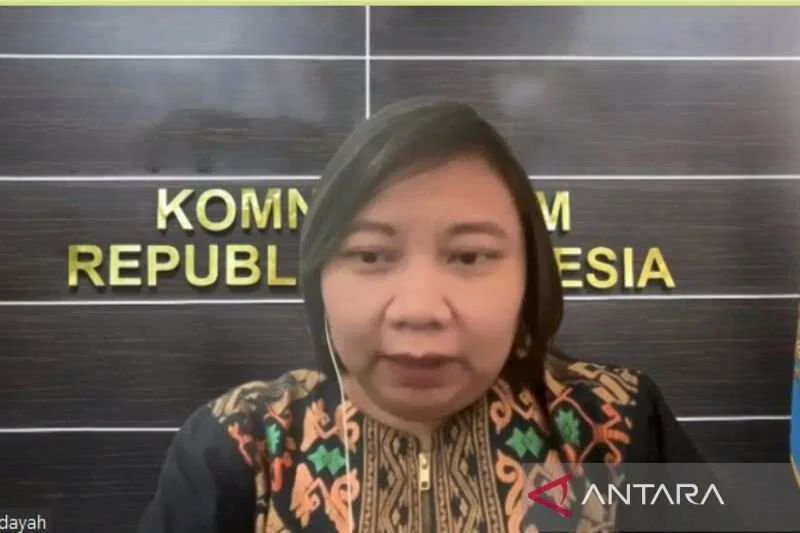 Penyelidikan Proyustisia Komnas HAM Terhadap Peristiwa Kuda Tuli