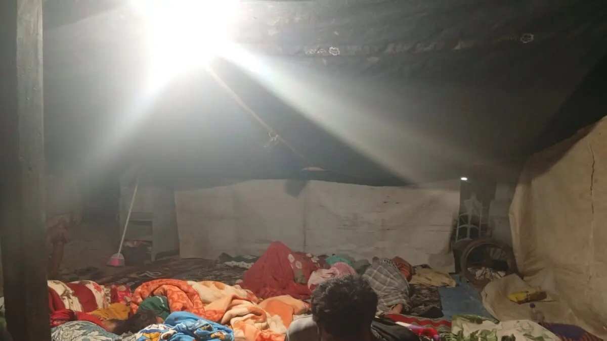 Fenomena Kegempaan di Flores: Memahami Gelombang Gempa Susulan