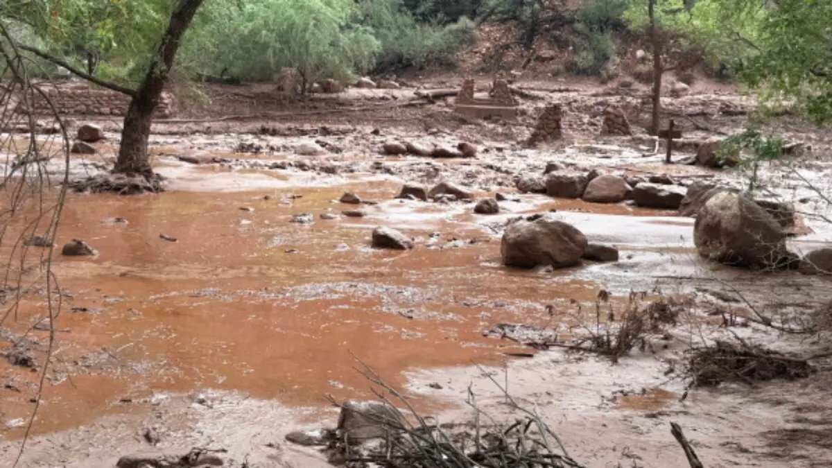 Banjir Bandang di Grand Canyon: Satu Tewas dan Lima Belas Hilang