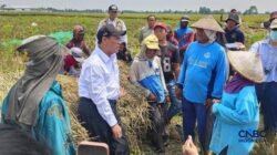 Kebijakan Baru untuk Buruh Tani di Karawang Kebijakan Baru untuk Buruh Tani di Karawang