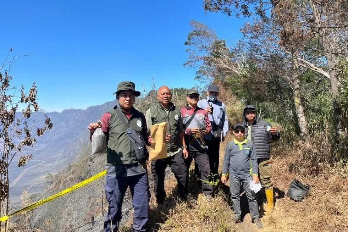 Investigasi Karhutla di Gunung Bromo: Kemenhut Libatkan Ahli dari IPB