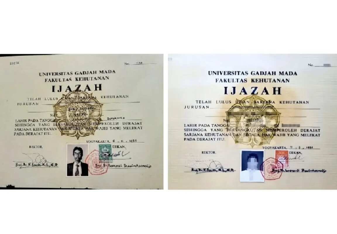 Membedah Keaslian Ijazah Joko Widodo dan Hubungan dengan Font Times New Roman