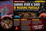 Praktik Judi Sabung Ayam dan Dadu Disebut Berlangsung di Dusun Wadung Pakisaji