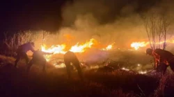 Masalah yang Perlu Diwaspadai Saat Musim Kemarau