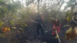 Babinsa Kodim 0901/Samarinda  Bantu Padamkan Kebakaran Lahan di Bantuas, Api Berhasil Dikendalikan