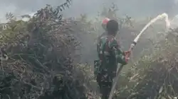 Babinsa Koramil 0908-02/Muara Badak Bersama Tim Gabungan Padamkan Karhutla  Di Wilayah Binaan