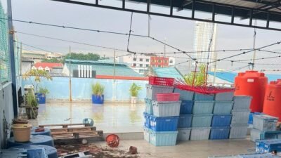 Pembunuhan Tragis di Batam: Sebuah Pelajaran tentang Emosi yang Memicu Kekerasan