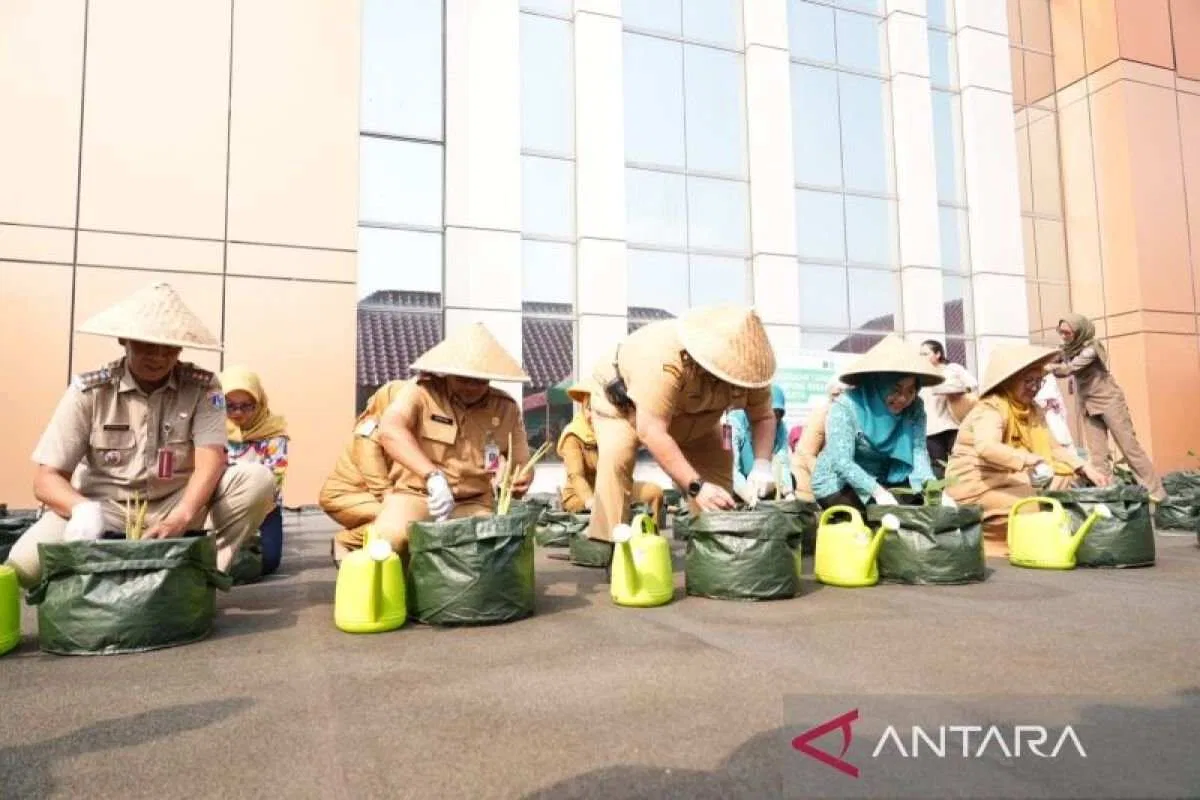 Penanaman Bibit Tanaman Pendamping Pangan di Jakarta Pusat