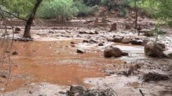 Upaya Pencarian Terhadap Lebih Dari 20 Orang Hilang Setelah Banjir Bandang di Grand Canyon