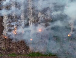 Penanganan Kebakaran Hutan dan Lahan oleh Presiden Prabowo