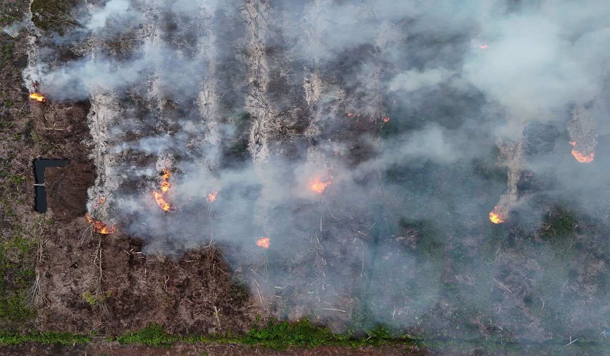 Penanganan Kebakaran Hutan dan Lahan oleh Presiden Prabowo