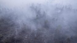 Dampak Kebakaran Hutan di Indonesia Terhadap Negara Tetangga