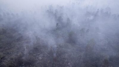 Dampak Kebakaran Hutan di Indonesia Terhadap Negara Tetangga