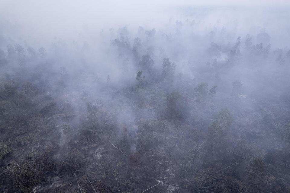 Dampak Kebakaran Hutan di Indonesia Terhadap Negara Tetangga Dampak Kebakaran Hutan di Indonesia Terhadap Negara Tetangga