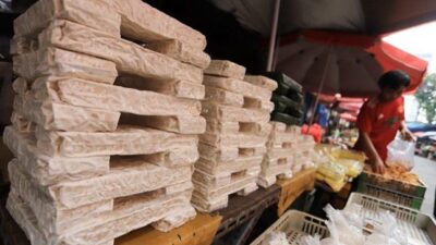 Potensi Tempe sebagai Produk Ekonomi Global
