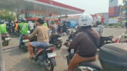 Manfaat dan Efektivitas Mencampurkan Minyak Kayu Putih dengan Bensin