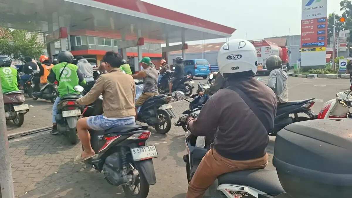 Manfaat dan Efektivitas Mencampurkan Minyak Kayu Putih dengan Bensin