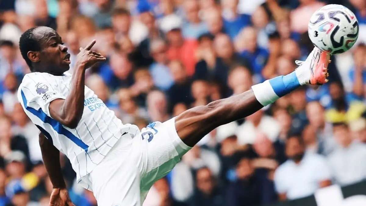 Analisis Prediksi Skor Pertandingan Brighton