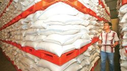 Kesiapan Produksi Pangan Nasional Menghadapi El Nino