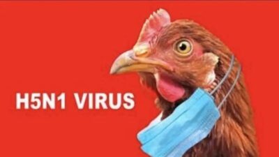 Status Darurat Kesehatan di Uruguay Fasilitasi Penanganan Wabah Flu Burung