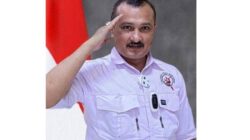 Pandangan Ferdinand Hutahaean tentang Peran Ormas dalam Masyarakat