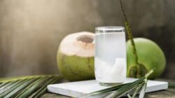 Mengapa Minum Air Kelapa Meningkatkan Frekuensi Buang Air Kecil?
