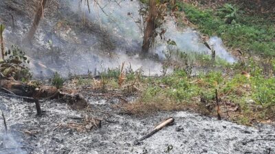 Kebakaran Hutan Dekat TPA Sarimukti KBB: Upaya Pemadaman Berlangsung