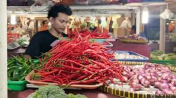 Lonjakan Harga Cabai: Dampak dan Reaksi Pedagang