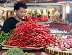 Lonjakan Harga Cabai: Imbas Terhadap Ketersediaan dan Konsumsi Pasar
