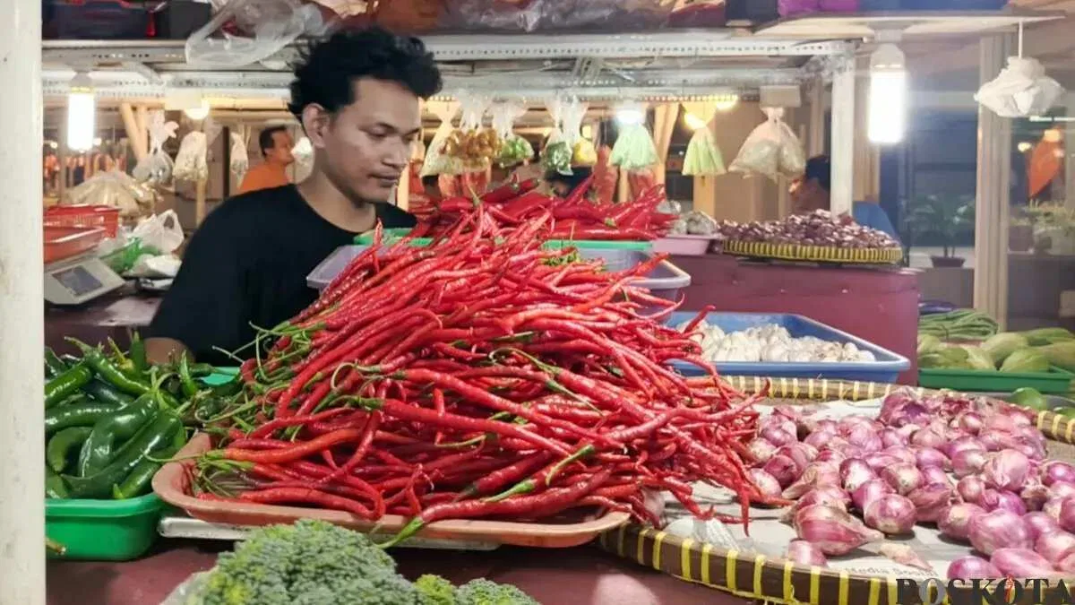 Lonjakan Harga Cabai: Dampak dan Reaksi Pedagang