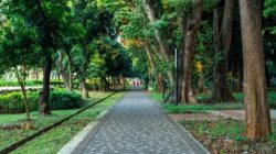 Menikmati Keindahan Malam di Taman Jakarta