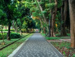 Menikmati Keindahan Malam di Taman Jakarta