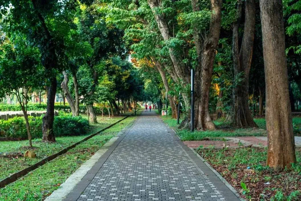 Menikmati Keindahan Malam di Taman Jakarta