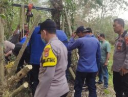 Upaya Penyelamatan Kerbau Betina Terperosok di Sumur Tua
