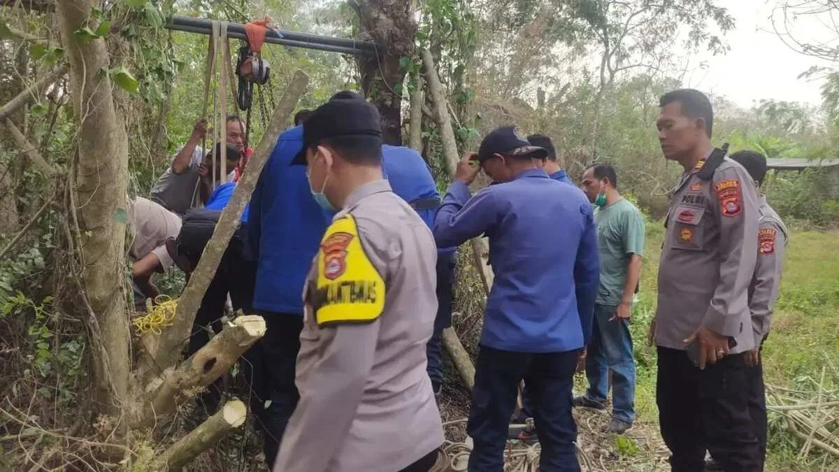 Upaya Penyelamatan Kerbau Betina Terperosok di Sumur Tua
