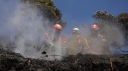 Upaya Pemadaman Kebakaran di Taman Nasional Bromo Tengger Semeru