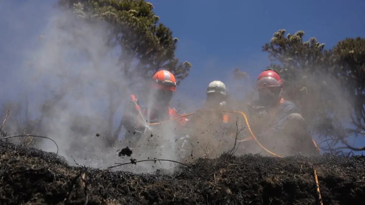 Upaya Pemadaman Kebakaran di Taman Nasional Bromo Tengger Semeru