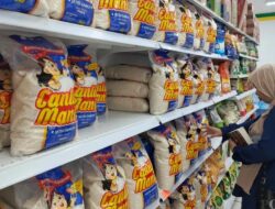 Krisis Pasokan dan Lonjakan Harga Beras Premium di Ritel Modern