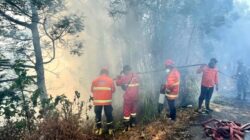 Hambatan Pemadaman Kebakaran Hutan di Bromo