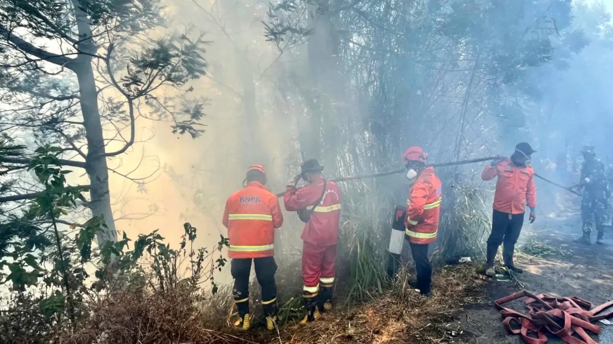 Hambatan Pemadaman Kebakaran Hutan di Bromo