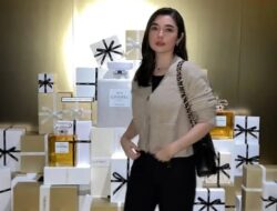 Menelusuri Jejak Karir dan Kehidupan Amanda Rigby
